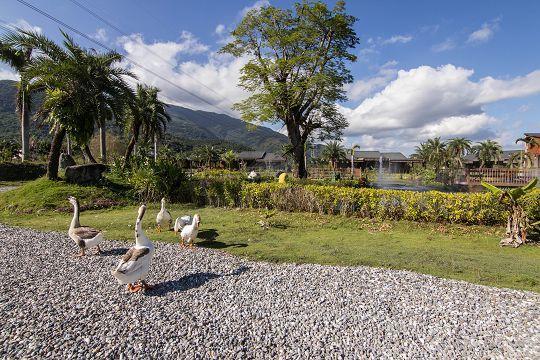 Ruisui Palm Lakes B&B ภายนอก รูปภาพ